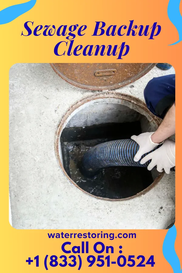 Sewage Backup Cleanup in Hammond, WI